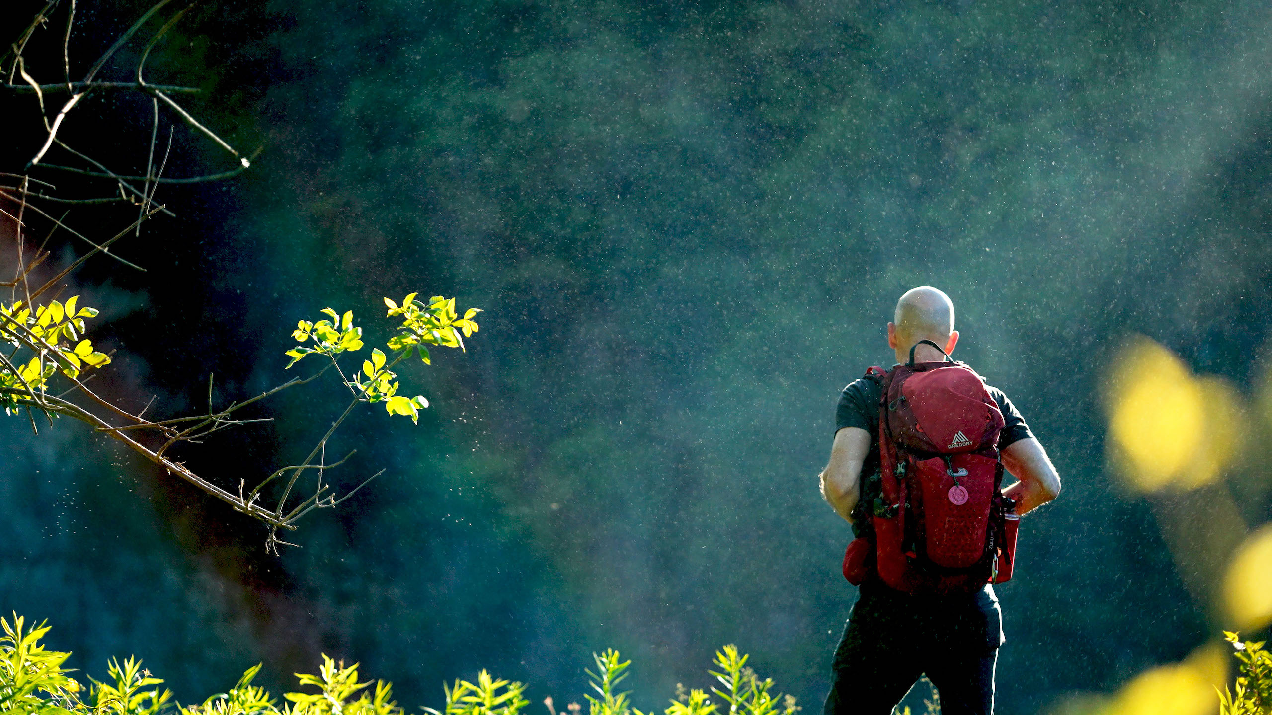 Hiking