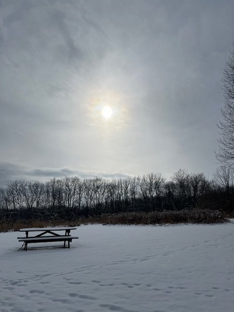 a picnic table in a snowy field