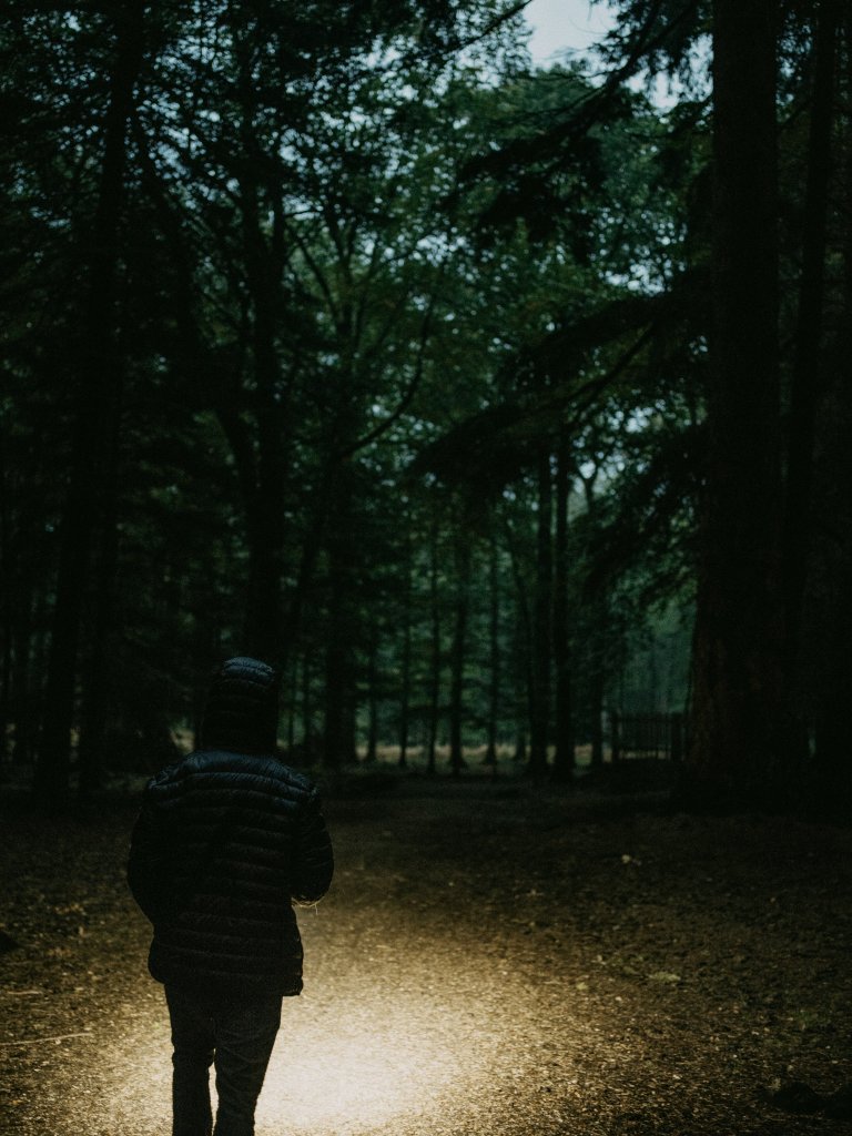 a person walking in the woods