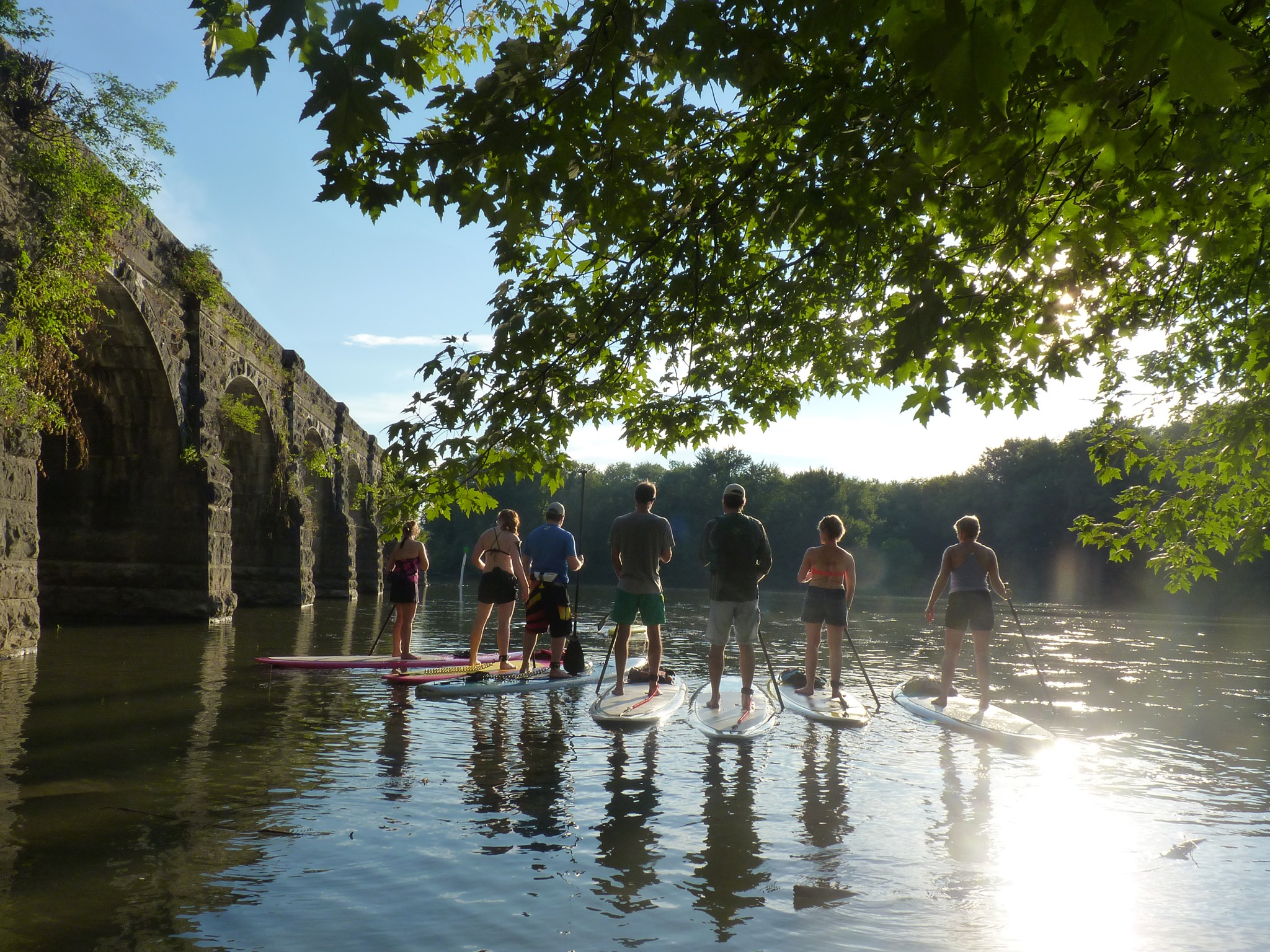 a group of people on paddle boards on a river